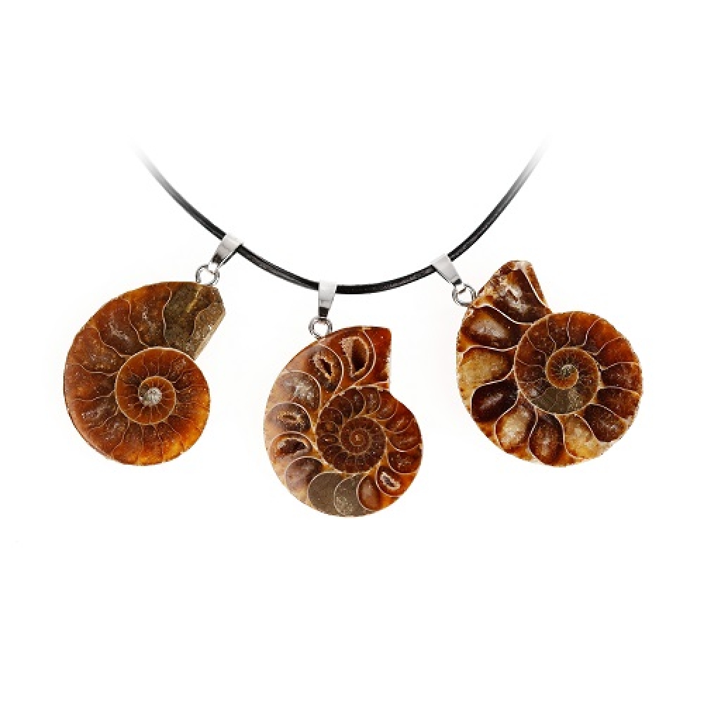 Ammonite Anhänger Silberschlaufe 925 rhod.